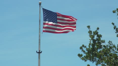Vereinigte-Staaten-Flagge-Zeitlupe-Bäume-Vordergrund-Blauer-Himmel