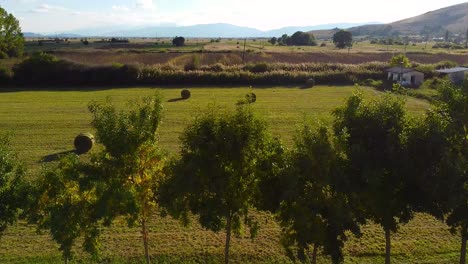 toma aérea de una azotea con energía fotovoltaica que genera electricidad solar sostenible