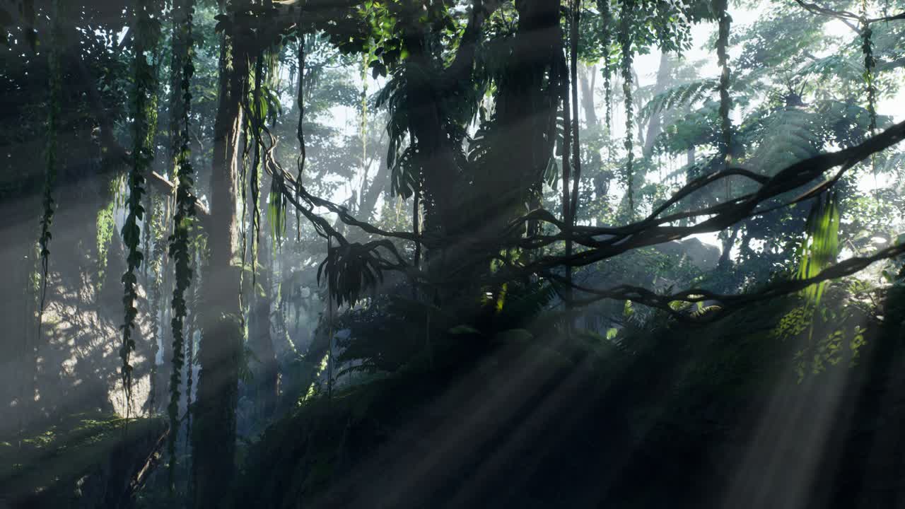 안개 속에 있는 안개 속의 정글 우림