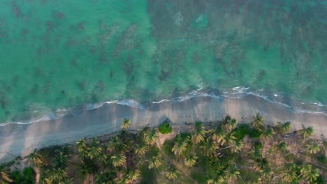 angulo cenital de la playa en punta cana