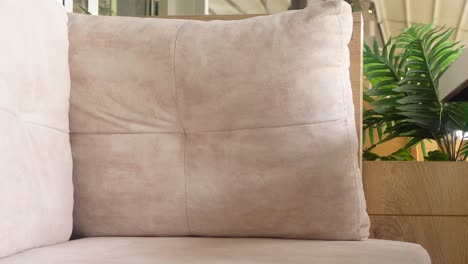 closeup of a beige sofa cushion with a plant in the background