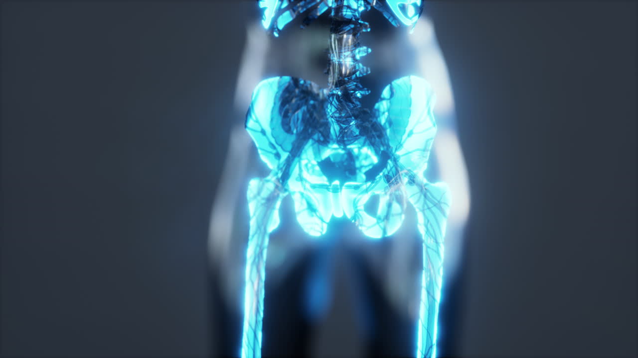 concepto de las articulaciones humanas con la anatomía del esqueleto del cuerpo