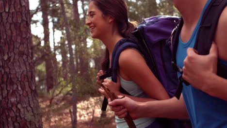 una pareja caminando por un bosque.