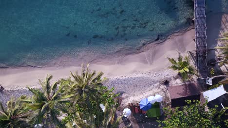 parasols palm trees beach waves