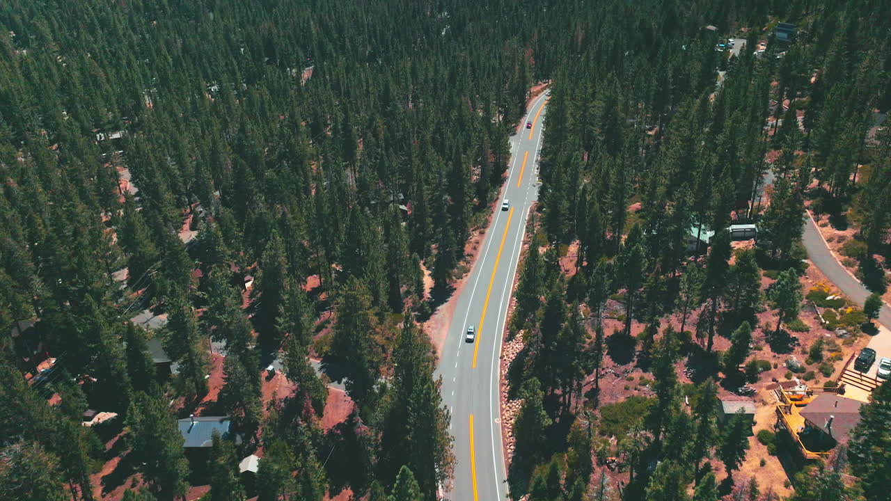 Cars driving by the motorway with yellow and white markup. Road through the pine tree woods from aerial perspective.