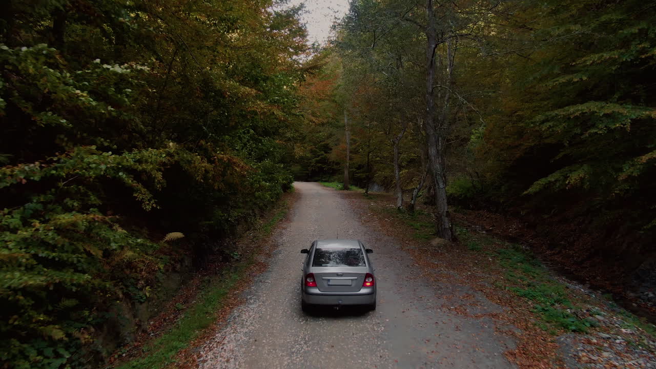 Aerial tracking shot of a grey car driving on a forest road near water stream, among mountain trees, clear peaceful day