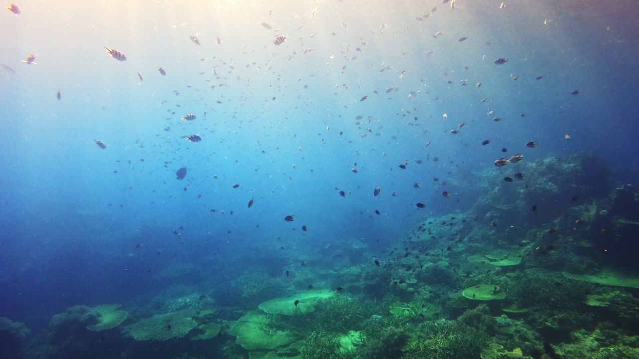 It's so peaceful down here