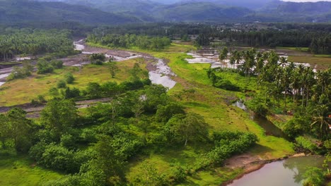 panorama de una zona rural con arrozales fangosos y vegetación en el sur de leyte