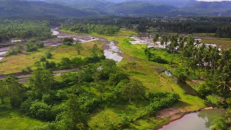 panorama of a rural area with muddy paddies and vegetations in southern leyte