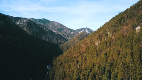Drone-shot-over-pine-tree-forest-and-mountains-in-Europe