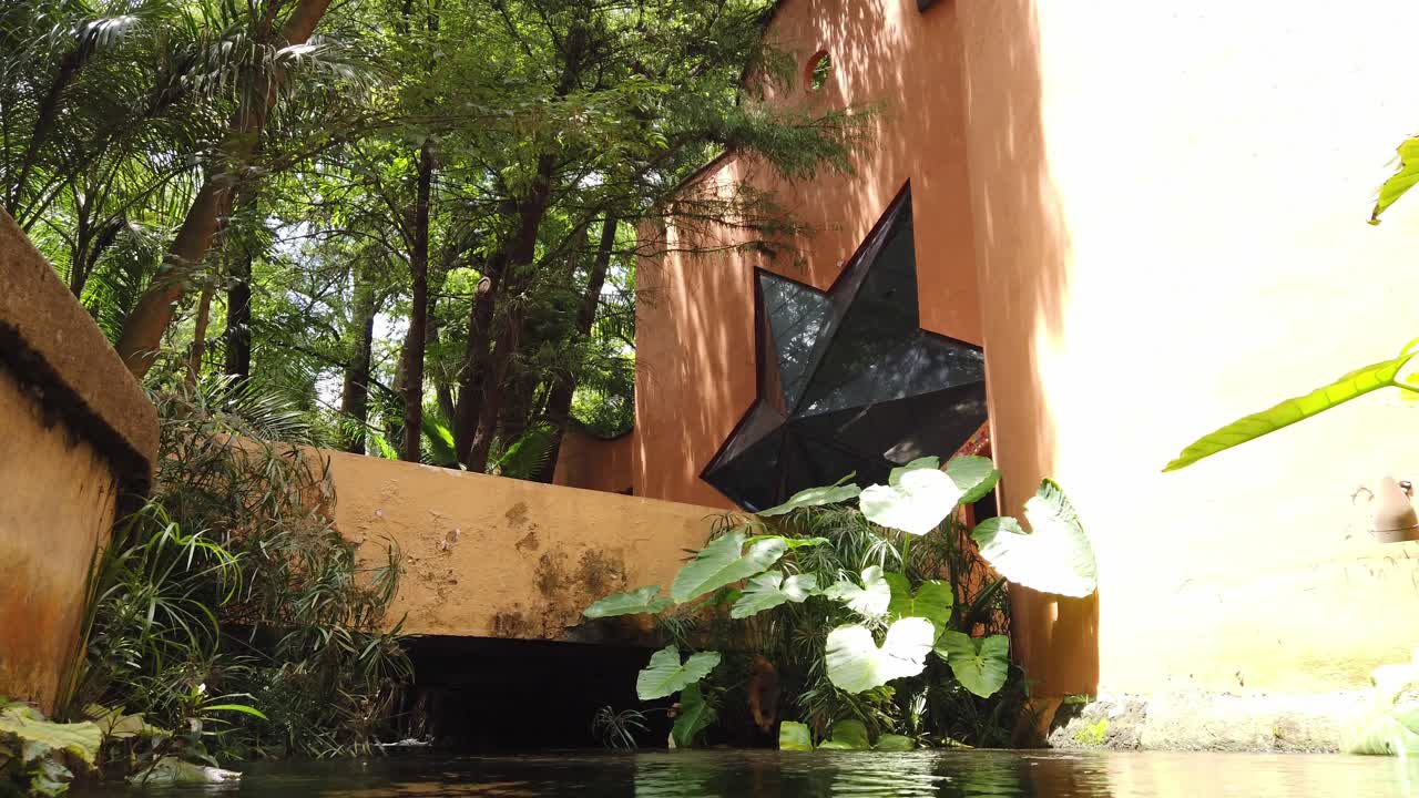 Camera begins with pan left and shifts to pan right showing lush green plants and vegetation near an architectural structure with water reflections