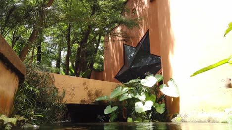 camera begins with pan left and shifts to pan right showing lush green plants and vegetation near an architectural structure with water reflections