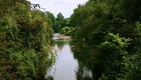 Wilder-Versteckter-Ruhiger-Fluss-Sommer-Kastellet-Kopenhagn-–-4k-Ultra-Hd-Uhd