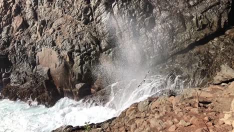 a seagull lands on the rocks as the ocean waves crash