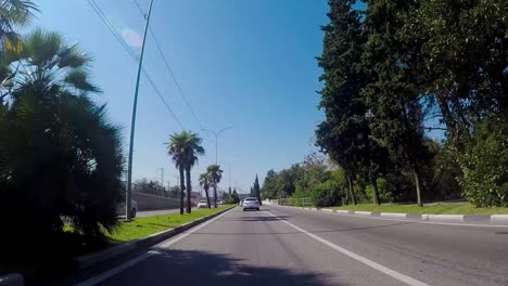 city street view with cars and sunny day