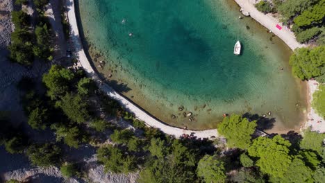 Toma-Aérea-De-Arriba-Hacia-Abajo-De-La-Bahía-De-Zavratnica-Con-Un-Barco-Hundido-Y-Un-Turista-Descansando-En-La-Playa-Durante-El-Día-Soleado---Croacia,-Europa