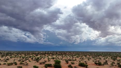 la vista ascendente del dron muestra nubes tormentosas sobre el paisaje del sur de kalahari.