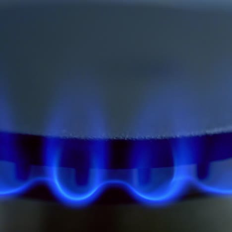 gas is switching on automatically. blue flame appearing on a gas stove on dark background. close-up.