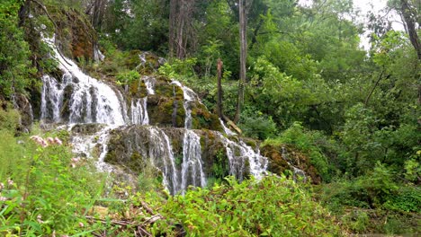 varios niveles de agua en cascada rodeados de exuberantes arbustos y árboles verdes en el parque nacional krka en croacia