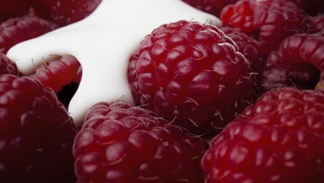 macro video de frambuesas cubiertas con yogur