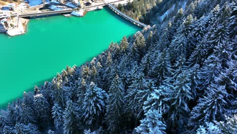 drone aerial view of pine forest and lake with snow in winter in the dolomites mountains