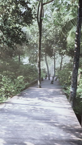 a wooden pathway through a lush green forest