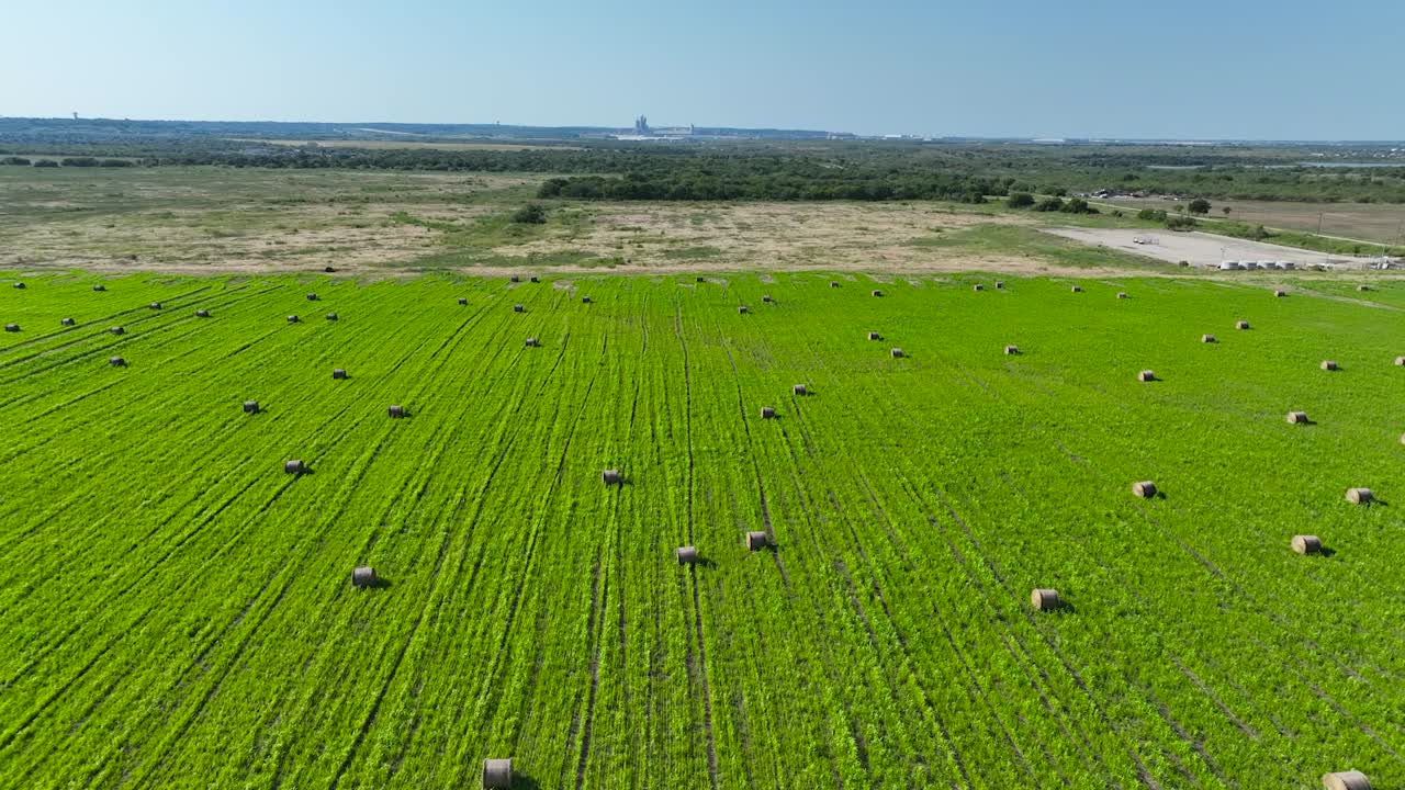 volando sobre los campos de paja