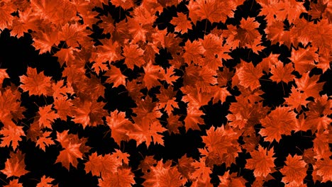 4k hojas de arce que caen en otoño