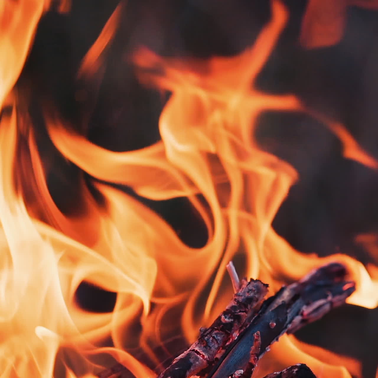 Bonfire. Burning Fire in Slow Motion. Woods fire. Slow motion