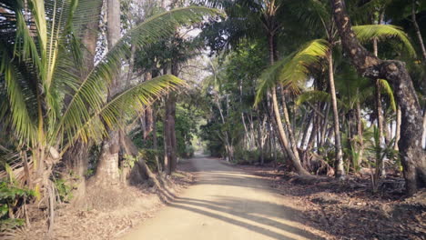 slow motion push through a palm tree covered path way from the tropical hotel and resort down to the sandy beach of punta banco, costa rica