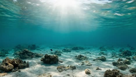 a serene underwater scene capturing sunlight streaming through clear waters over coral reefs and sandy ocean floor, evoking peace and natural beauty