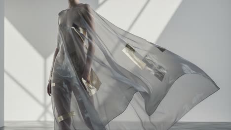 a graceful model in a sheer flowing garment showcasing ethereal aesthetics and artistic design, captured in soft natural light against a minimalist background