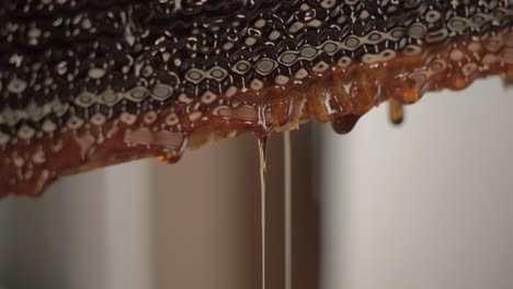 Close-up-about-honey-dripping-from-a-beehive-frame