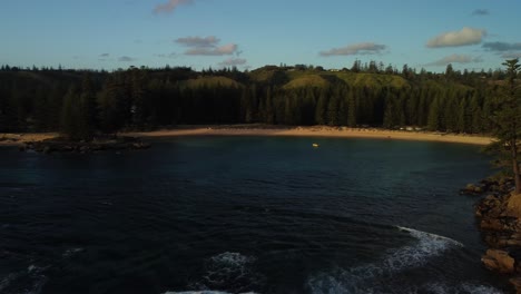 pintoresca bahía de emily en la isla de norfolk con el pino solitario y el bosque