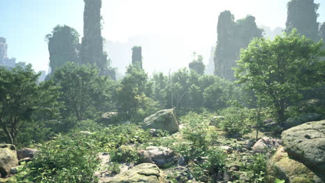 sunlit forest with tall rock formations