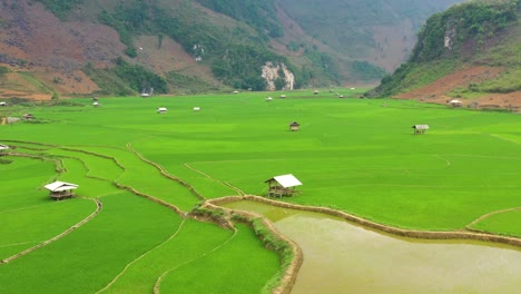 - beautiful green terraced rice fields in the northwest mountains - vietnam