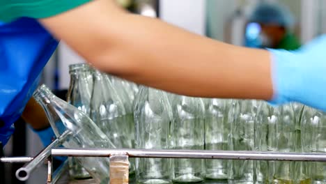 production of drinking water and beverages at factory. bottling of herbal drink in glass bottles.