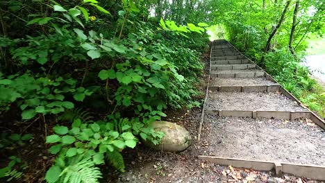 stairs in forest with pedestrian warning sign