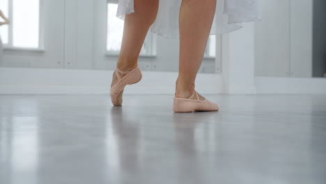 ballet dancer practicing