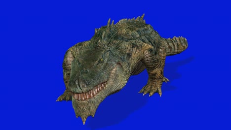 crocodile walking, front view seamless loop, blue screen chromakey