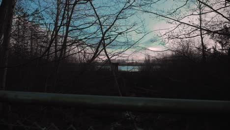 slow revealing view over a metal fence onto a factory in the distance through trees, forest on the edge of a river with a colourful blue and pink sky