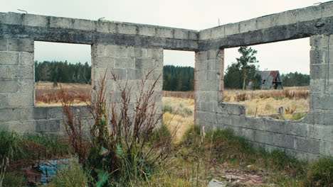 estructura de cemento sin techo abandonada en un campo de hierba de tussock dentada disparo de detalle estático