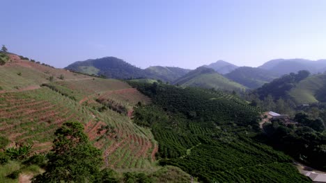 flying along mountain terraces with coffee plantation in brazil, aerial
