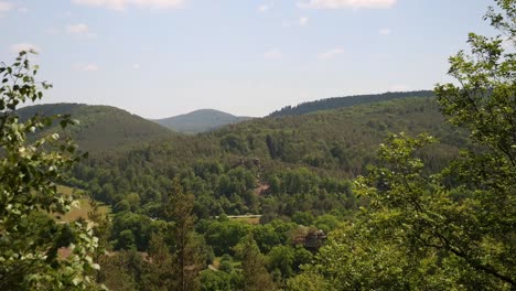 Vista-Sobre-El-Bosque-Del-Palatinado-Desde-Un-Punto-De-Vista-Cerca-De-La-Mesa-Del-Diablo,-Alemania