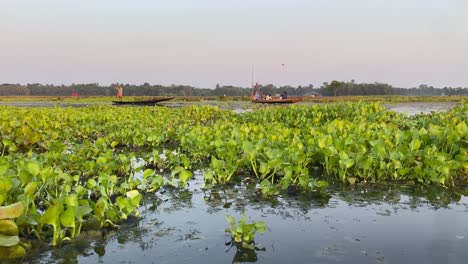 Backwaters-of-westbengal,India