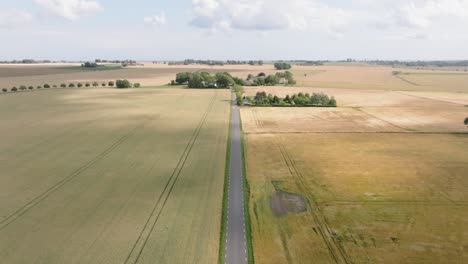 Sweeping-Views-Of-Fields-On-The-Road-Near-Gunnar-Colleges-Farm-Shop-In-Hammenhög,-Sweden