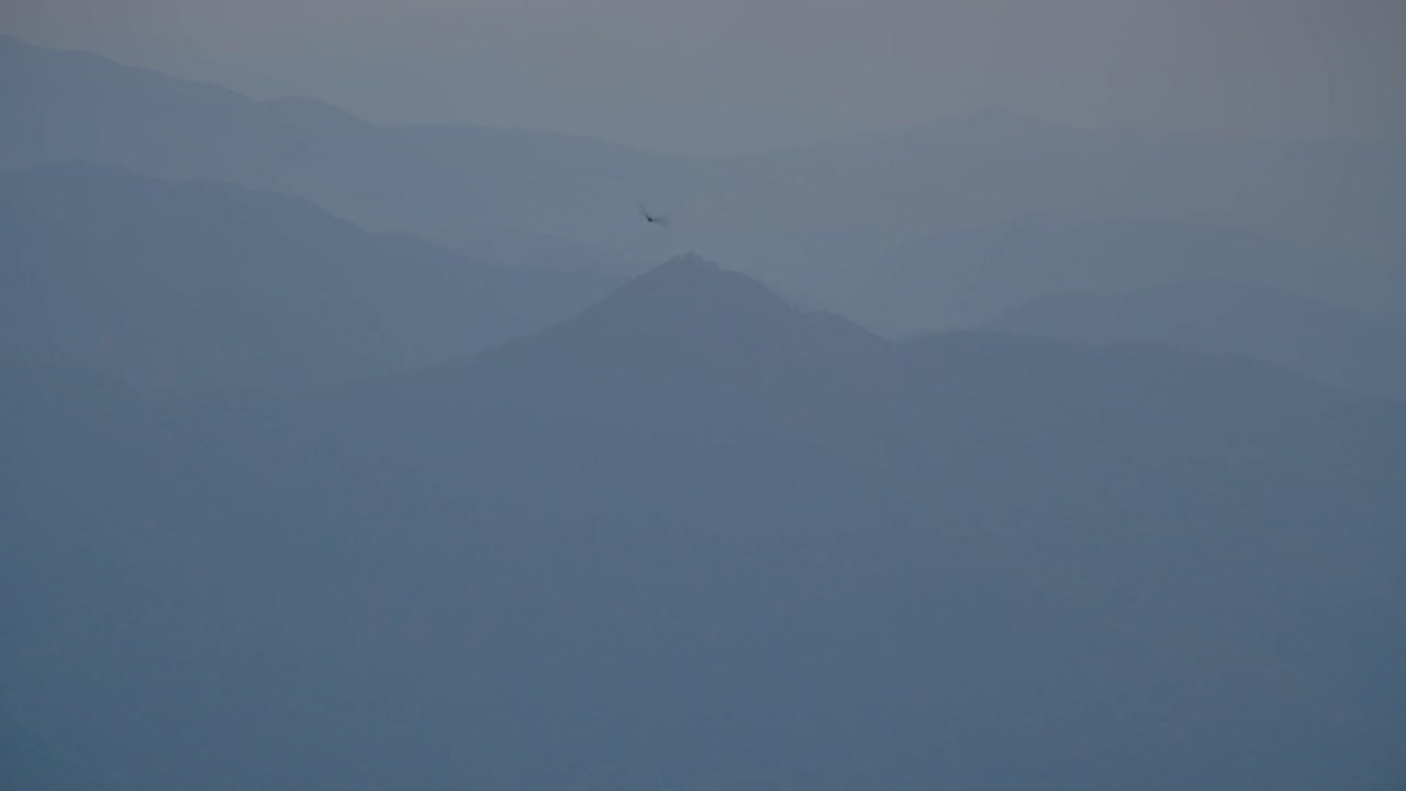 Bird Silhouette Against Hazy Mountain Landscape