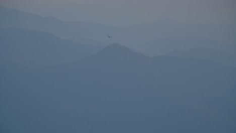 bird silhouette against hazy mountain landscape