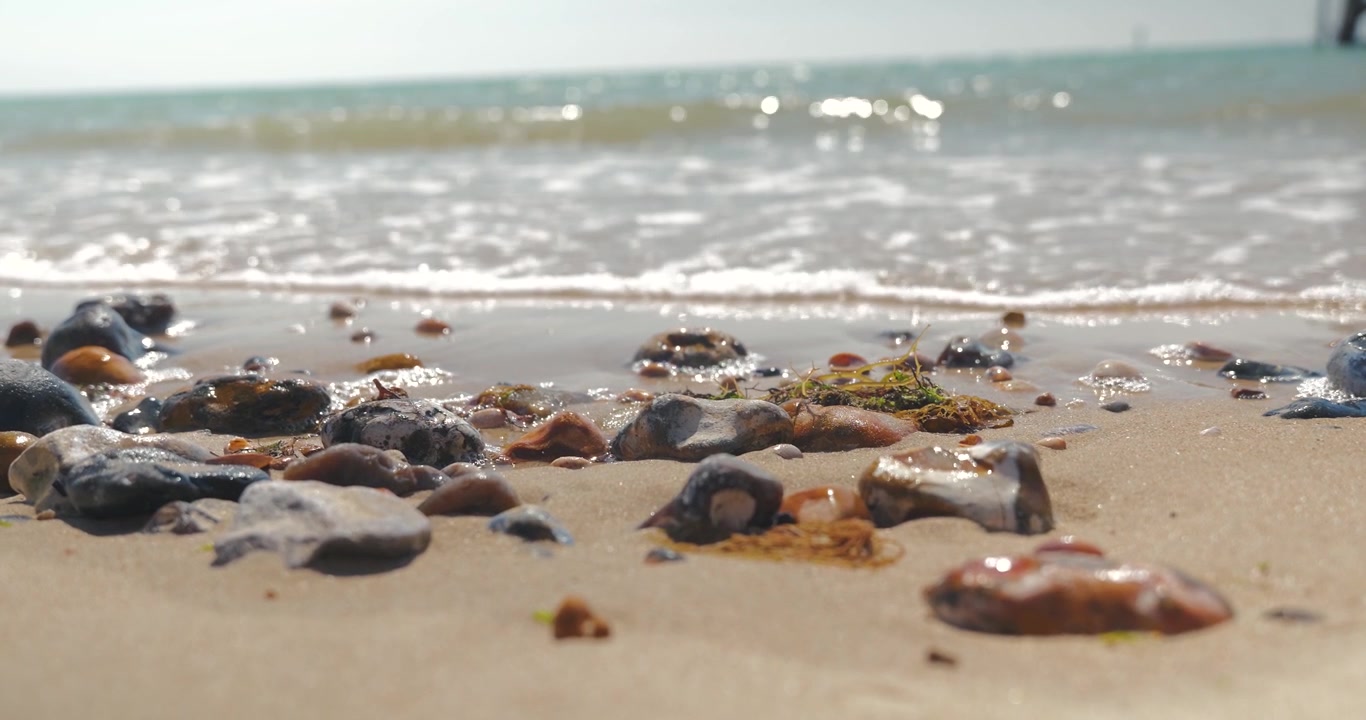 Slow motion close up of pebbles and seaweed on wet sand beside the sea