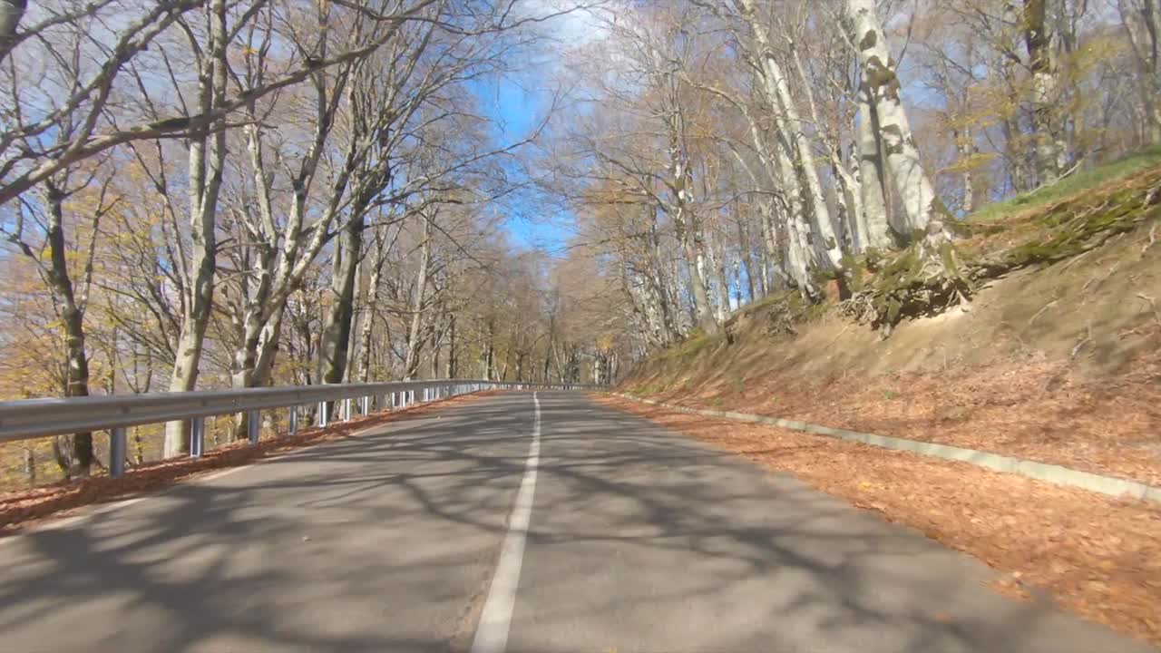Driving on an empty road in Autumn 4